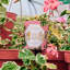 Geranium Candle