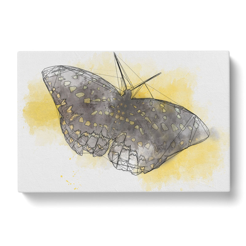 Butterfly Vol.4 Sketch - Wrapped Canvas, 35cm H x 50cm W x 3cm D