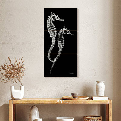 Sea Horse Xray