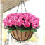Fleurs artificielles de géraniums artificiels pour l'extérieur
