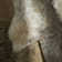 Tapis gris / ivoire Mayberry