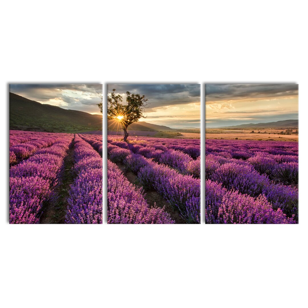 3-tlg. Leinwandbilder-Set Lavendel Provence mit Baum