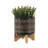 S/2 5/8" GLAZED PLANTER W/ STAND, BLACK