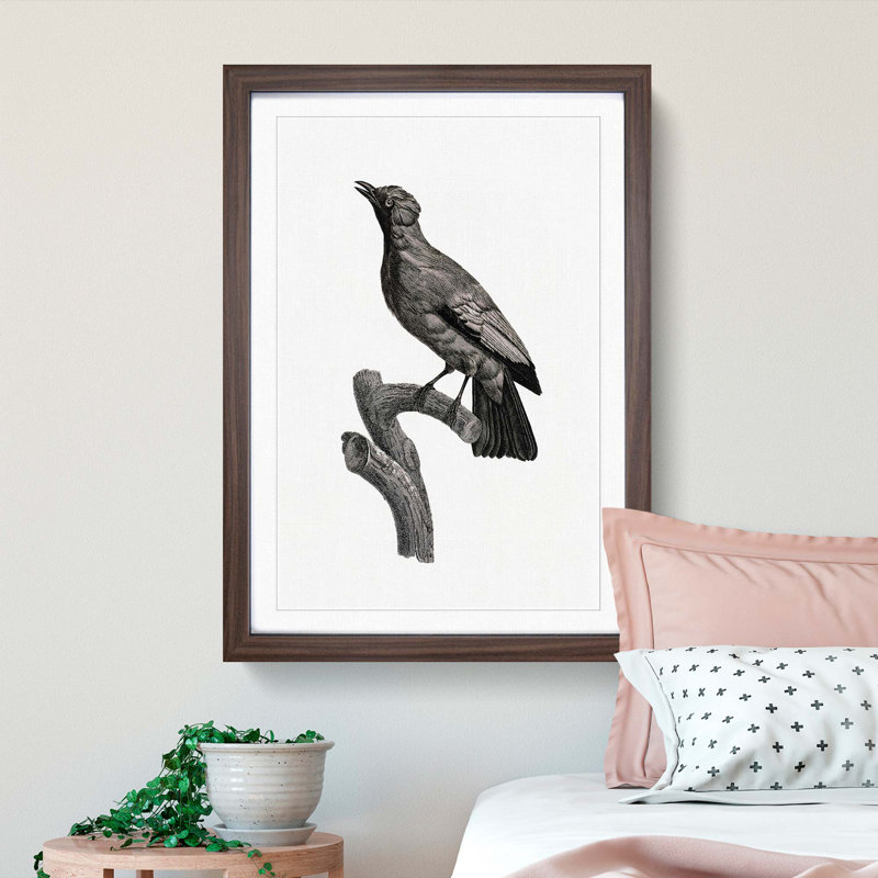 Paradise Crow by Jacques Barraband - Picture Frame Painting Print, Walnut Framed, 36cm H x 27cm W x 2cm D