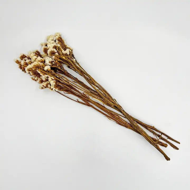 Bundle of 4 Dried Preserved Myosotis Forget-Me-Nots Bouquets 21", Yellow