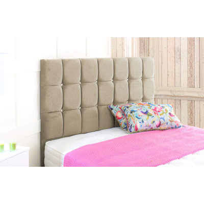 Higgenbotham Upholstered Velvet Headboard