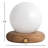 Reve Solid Wood Globe Lamp