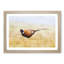 A Pheasant Bird - 1 Piece Picture Frame Rectangle Painting-56627961-56627964