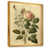 Toile avec cadre flottant or