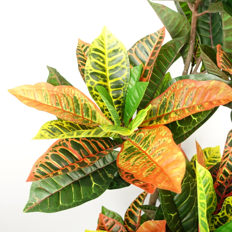 Anivea 140cm Faux Codiaeum Tree in Pot