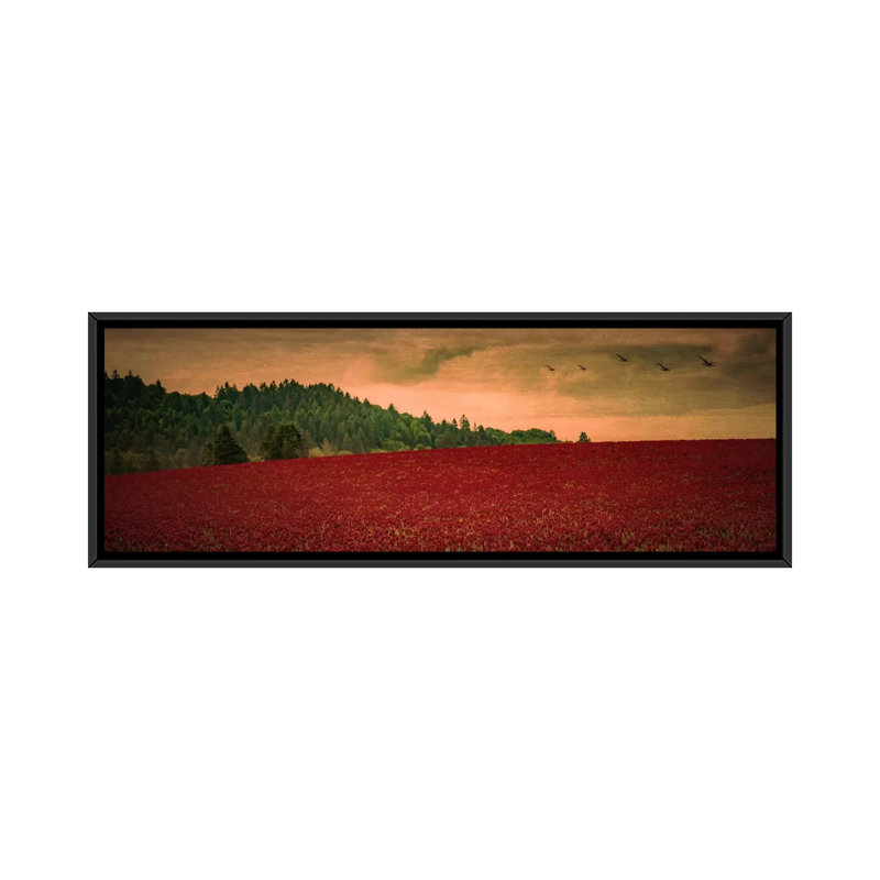 « over the trèfle », reproduction d’impression sur toile, H 12 po x l 36 po x P 1,5 po, Toile avec cadre noir