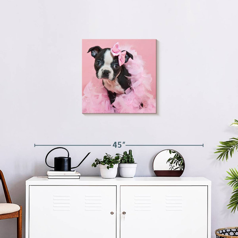Crowle Sassy Boston Terrier, 20" H x 20" W
