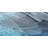 " Feather Dreams " by Parvez Taj Painting Print-50247874