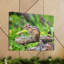 No Frame Print on Canvas-653752558