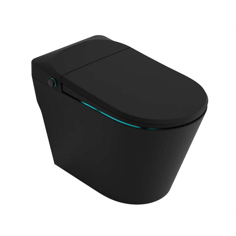 Bidet de toilette allongé ENVO Echo
