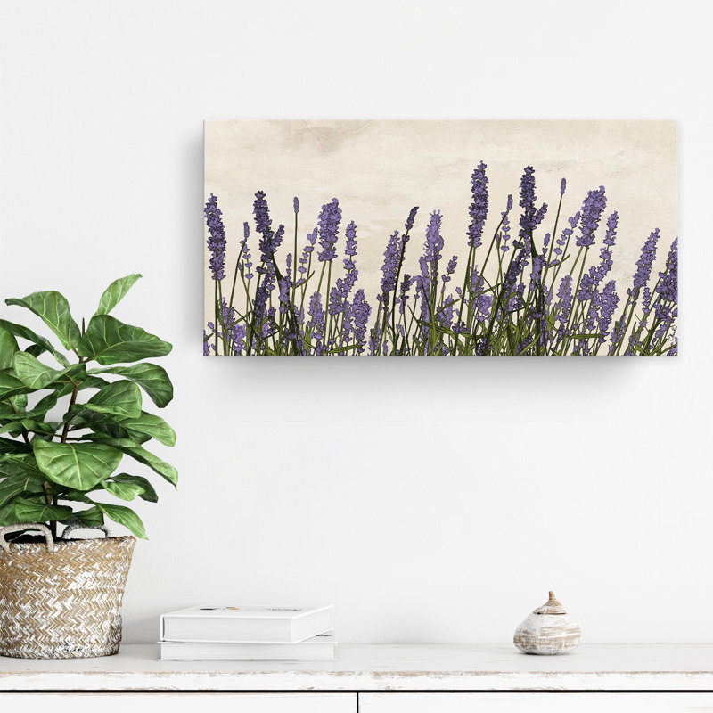 " Poetic Flora XX " by Olivia Rose, 12" H x 24" W x 1.5" D