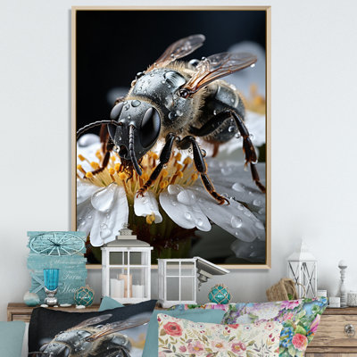 Jayloni, insectes, insectes, insectes, National I - impression