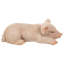 Pig Sleeping Statue