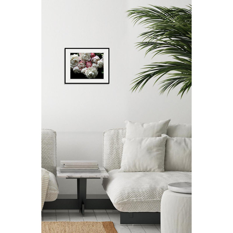 Rose - Single Picture Frame Print