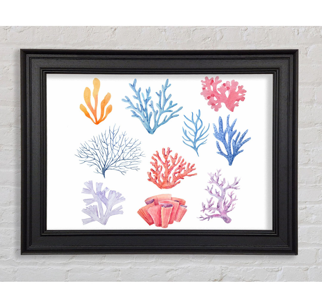 Gerahmtes Leinwandbild Sea Life Coral