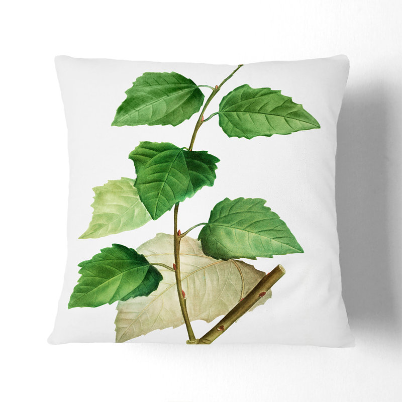 Floral Square Throw Cushion, 40cm H x 40cm W x 15cm D