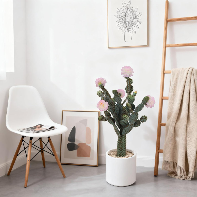 82cm Plant