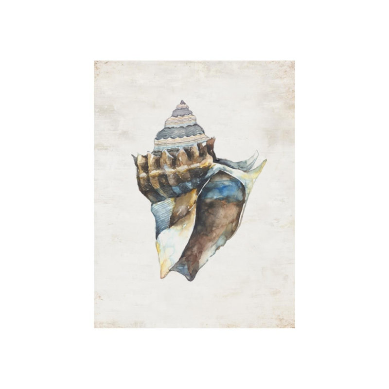 Shell Compilation I Print by Beverly Fuller, Image Brush Gel, 40" H x 30" W x 1.5" D