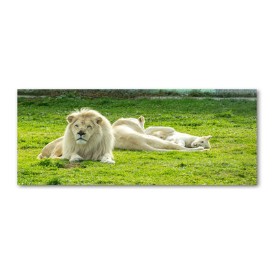 Beige Lions - No Frame Print on Canvas