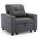 Mianna Tufted Back Sofa Bed with Storage