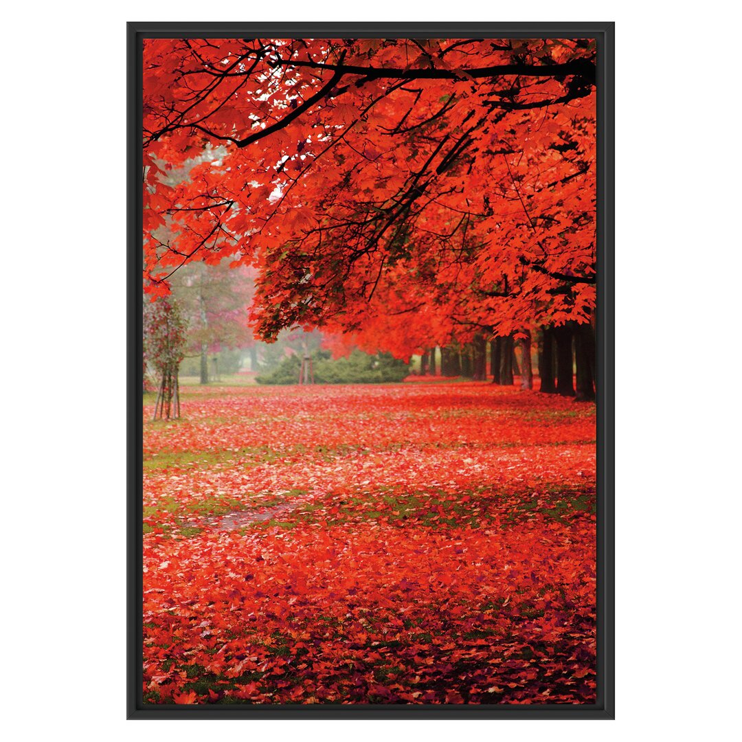 Gerahmtes Wandbild Rot gefärbter ParkHerbst