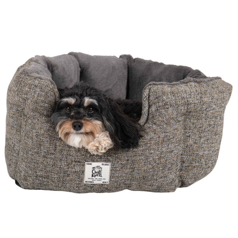 Grand lit rond à motif de sapin Chill Kpi de DGS Pet Products - bleu 36 po x 36 po x 15 po, H 12 po x l 23 po x P 23 po, Gris