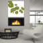 «Pilea» par Trish Sierer-1772939359