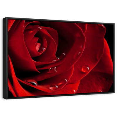 Fresh Red Rose Canvas Print