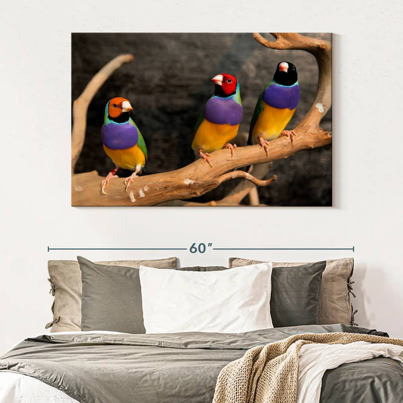 Rainbow Finches, 34" H x 51" W