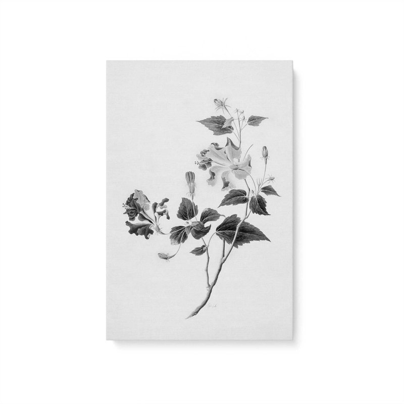 «Botanical I» par Deborah Revell, reproduction d'art sur toile, Toile tendue, Ne s’applique pas, H 18 po x l 12 po