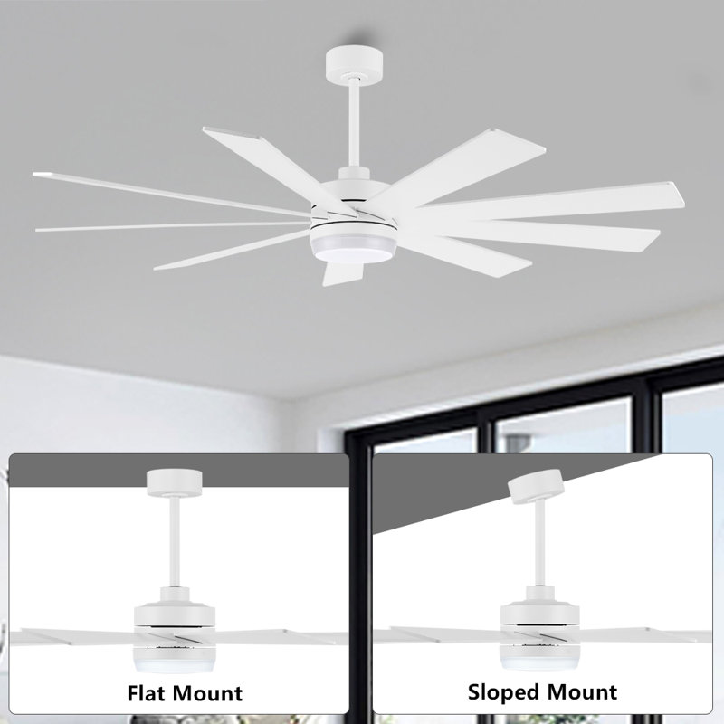Babrak 65'' Ceiling Fan with LED Lights, White