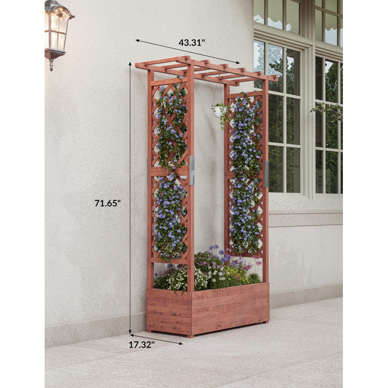 Lit de jardin surélevé surélevé en bois avec treillis et toit suspendu