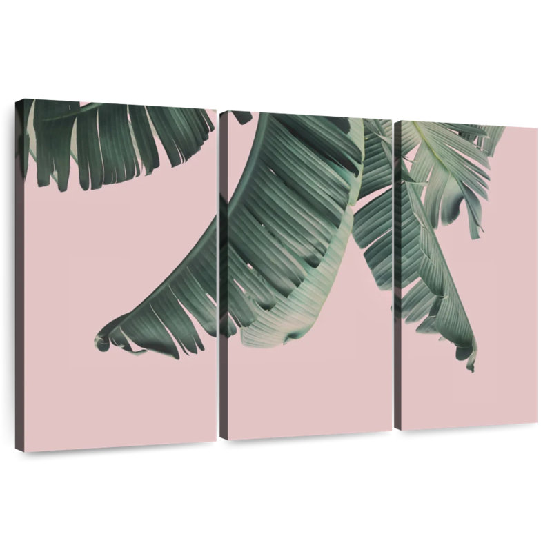 Feuilles de bananier Harnek Blush, H 20 po x l 33 po