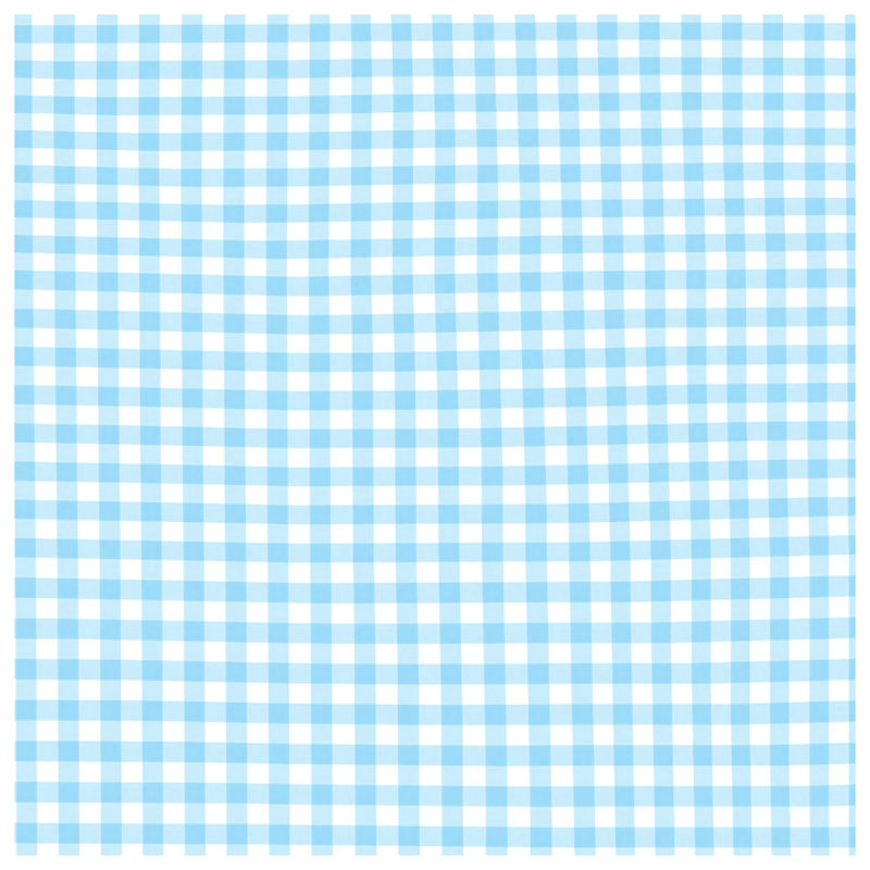 Coussins décoratifs à double face en vichy bleu et blanc, 14 X 14 pouces
