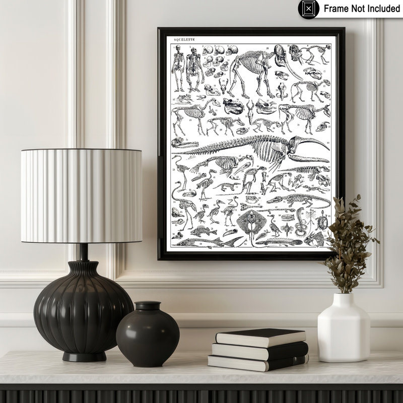 Gravure de squelettes d'homme, singes, dinosaures, affiche, Sans cadre, H 24 po x l 32 po, Affiche