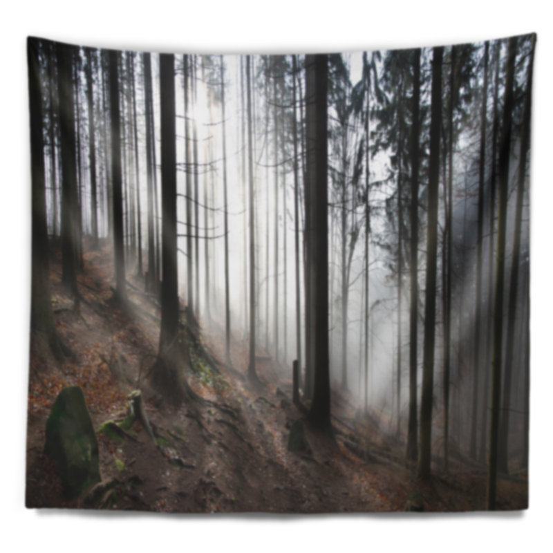 Tapisserie panorama paysage misty forest matinée, H 32 po x l 39 po