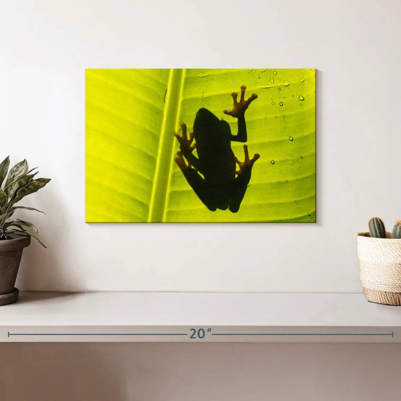Grenouille sur feuille, H 8 po x l 12 po