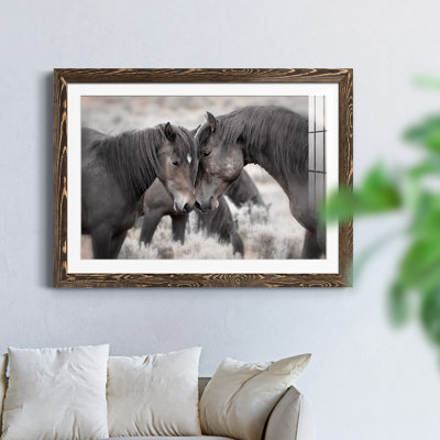 Chevaux sauvages - Photographie avec cadre photo