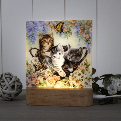 Chatons dans le jardin veilleuse