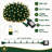 200-Light 66 ft. Warm White LED Christmas String Lights with 8 Modes, Memory Function & Green Wire
