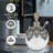 Lavinia Frosted Glass Soap Dispenser for Modern Bathroom Accessories and Christmas Gift Decor