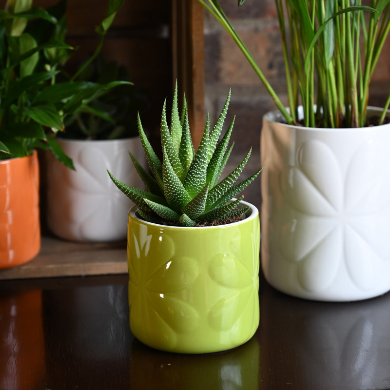 Ceramic / Porcelain Jar