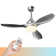 Conklin 48'' Ceiling Fan with LED Lights