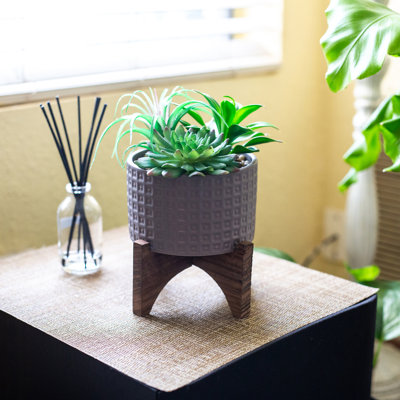 9 " H Faux Succulent Plant in Porcelain and Ceramic Planter