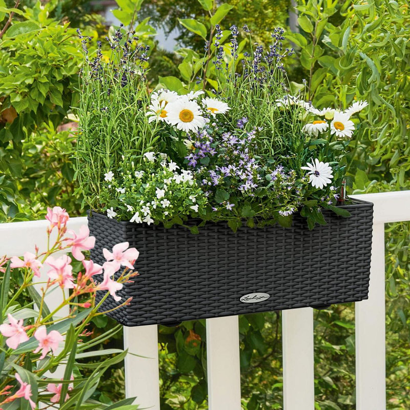 Balconera Window Box Planter, 19cm H x 50cm W x 19cm D